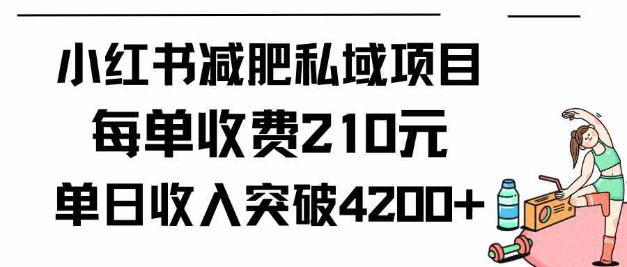 （9466期）小红书减肥私域项目每单收费210元单日成交20单，最高日入4200+_双星网创_创业赚钱_抖音教程_短视频教程-创业赚钱_抖音教程_短视频教程