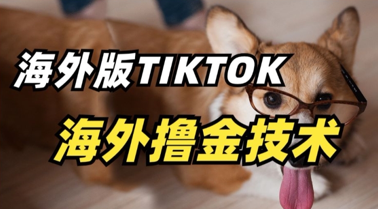 抖音海外版tiktok撸金技术，这个风口行业，赚钱真的不难_双星网创_创业赚钱_抖音教程_短视频教程-创业赚钱_抖音教程_短视频教程