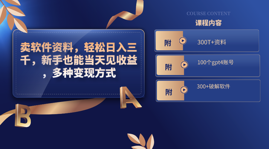 卖软件资料，轻松日入三千，新手也能当天见收益，多种变现方式_双星网创_创业赚钱_抖音教程_短视频教程-创业赚钱_抖音教程_短视频教程