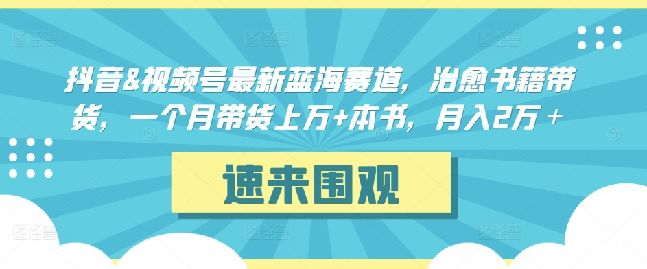 抖音&视频号最新蓝海赛道，治愈书籍带货，一个月带货上万+本书，月入2万＋_双星网创_创业赚钱_抖音教程_短视频教程-创业赚钱_抖音教程_短视频教程