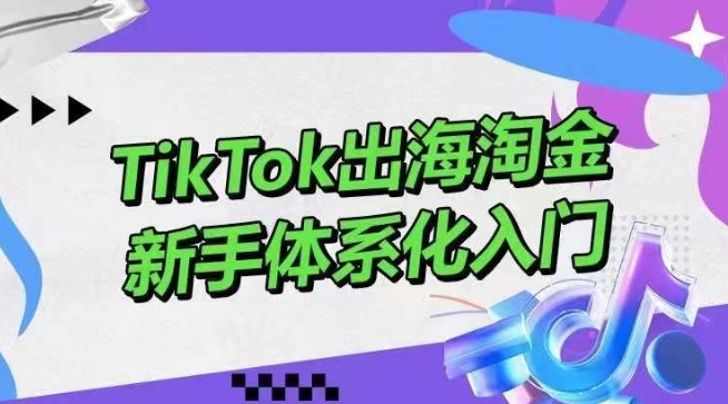 TikTok出海淘金，新手体系化入门，零基础快速入门，掌握短视频、直播带货等引流到变现的知识_双星网创_创业赚钱_抖音教程_短视频教程-创业赚钱_抖音教程_短视频教程