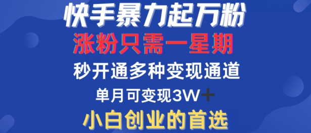 快手暴力起万粉，涨粉只需一星期，多种变现模式，直接秒开万合，单月变现过W【揭秘】_双星网创_创业赚钱_抖音教程_短视频教程-创业赚钱_抖音教程_短视频教程