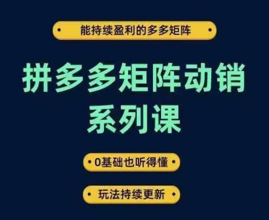 拼多多矩阵动销系列课，能持续盈利的多多矩阵，0基础也听得懂，玩法持续更新_双星网创_创业赚钱_抖音教程_短视频教程-创业赚钱_抖音教程_短视频教程