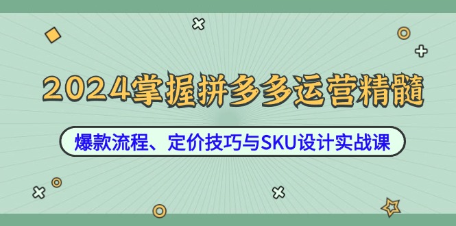 2024掌握拼多多运营精髓：爆款流程、定价技巧与SKU设计实战课_双星网创_创业赚钱_抖音教程_短视频教程-创业赚钱_抖音教程_短视频教程