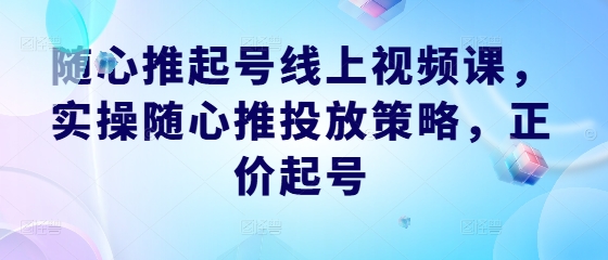 随心推起号线上视频课，实操随心推投放策略，正价起号_双星网创_创业赚钱_抖音教程_短视频教程-创业赚钱_抖音教程_短视频教程