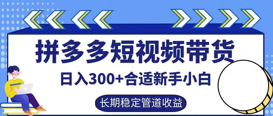 拼多多短视频带货日入300+有长期稳定被动收益，合适新手小白【揭秘】_双星网创_创业赚钱_抖音教程_短视频教程-创业赚钱_抖音教程_短视频教程