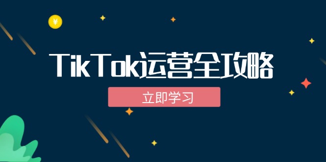TikTok实战运营全攻略：从下载软件到变现，抖音海外版实操教程_双星网创_创业赚钱_抖音教程_短视频教程-创业赚钱_抖音教程_短视频教程