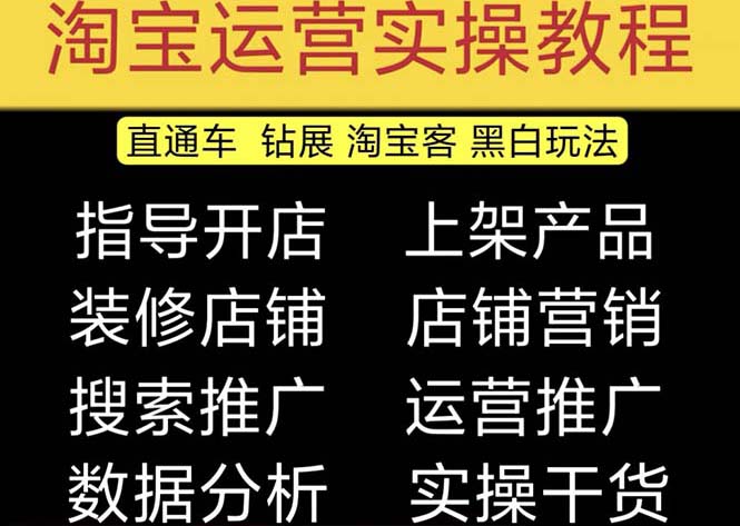 2023淘宝开店教程0基础到高级全套视频网店电商运营培训教学课程（2月更新）_双星网创_创业赚钱_抖音教程_短视频教程-创业赚钱_抖音教程_短视频教程