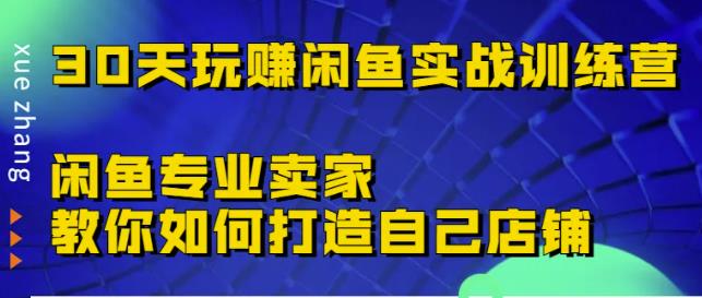 30天玩赚闲鱼实战训练营，闲鱼专业卖家教你如何打造自己店铺￼_双星网创_创业赚钱_抖音教程_短视频教程-创业赚钱_抖音教程_短视频教程
