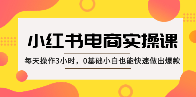 小红书·电商实操课：每天操作3小时，0基础小白也能快速做出爆款！_双星网创_创业赚钱_抖音教程_短视频教程-创业赚钱_抖音教程_短视频教程