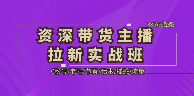 资深·带货主播拉新实战班，0粉号/老号/节奏/话术/播感/流量-38节完整版_双星网创_创业赚钱_抖音教程_短视频教程-创业赚钱_抖音教程_短视频教程