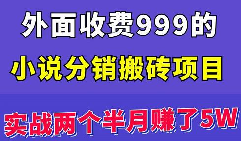 外面收费999的小说分销搬砖项目：实战两个半月赚了5W块，操作简单！￼_双星网创_创业赚钱_抖音教程_短视频教程-创业赚钱_抖音教程_短视频教程