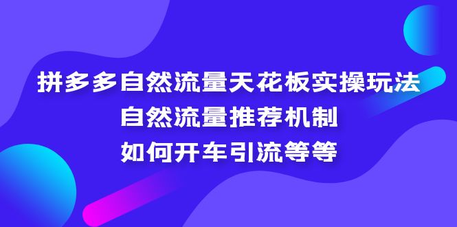 拼多多自然流量天花板实操玩法：自然流量推荐机制，如何开车引流等等_双星网创_创业赚钱_抖音教程_短视频教程-创业赚钱_抖音教程_短视频教程
