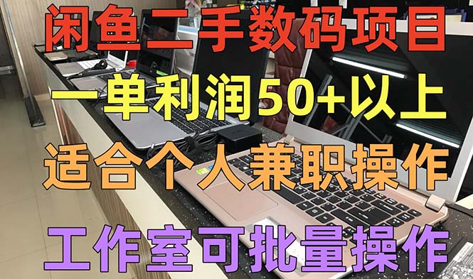 闲鱼二手数码项目，个人副业低保收入一单50+以上，工作室批量放大操作_双星网创_创业赚钱_抖音教程_短视频教程-创业赚钱_抖音教程_短视频教程