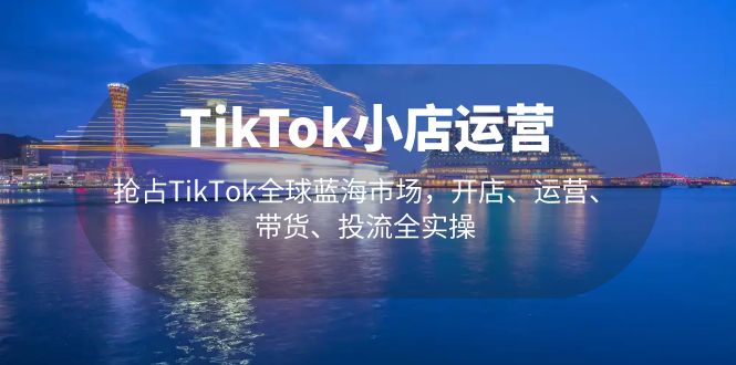 TikTok小店运营 抢占TikTok全球蓝海市场，开店、运营、带货、投流全实操_双星网创_创业赚钱_抖音教程_短视频教程-创业赚钱_抖音教程_短视频教程