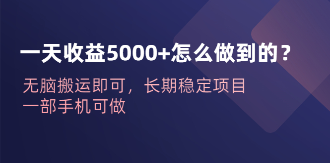 一天收益5000+怎么做到的？无脑搬运即可，长期稳定项目，一部手机可做_双星网创_创业赚钱_抖音教程_短视频教程-创业赚钱_抖音教程_短视频教程