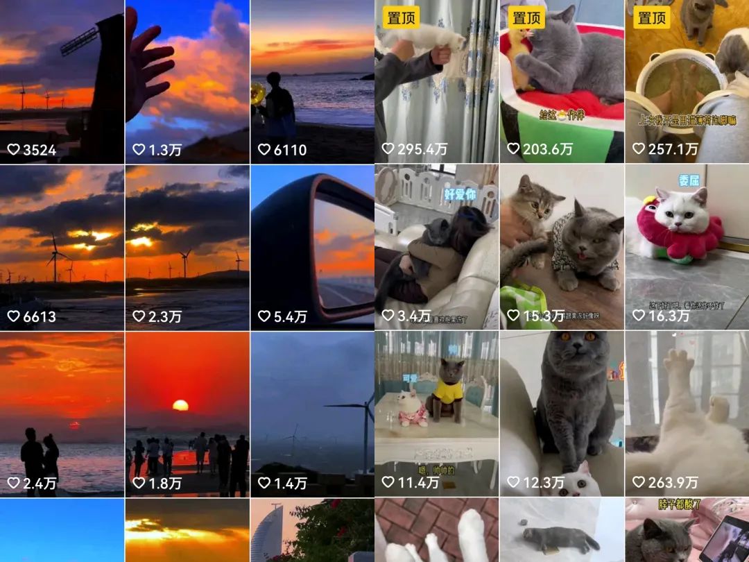 每天收入100+的副业：分享0粉账号变现+育儿直播+百家代书项目思路！_双星网创_创业赚钱_抖音教程_短视频教程-创业赚钱_抖音教程_短视频教程