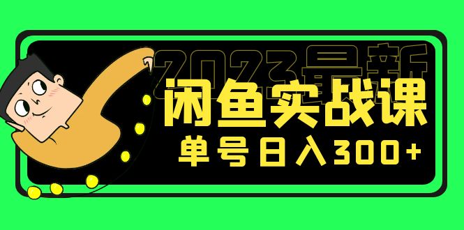 花599买的闲鱼项目：2023最新闲鱼实战课，单号日入300+（7节课）_双星网创_创业赚钱_抖音教程_短视频教程-创业赚钱_抖音教程_短视频教程