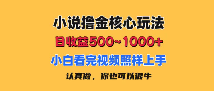 小说撸金核心玩法，日收益500-1000+，小白看完照样上手，0成本有手就行_双星网创_创业赚钱_抖音教程_短视频教程-创业赚钱_抖音教程_短视频教程