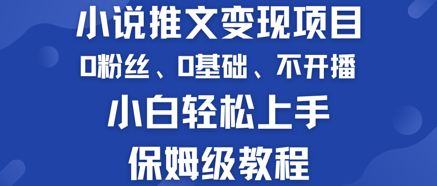 小说推文变现项目 0基础 不开播 小白轻松上手 保姆级教程_双星网创_创业赚钱_抖音教程_短视频教程-创业赚钱_抖音教程_短视频教程