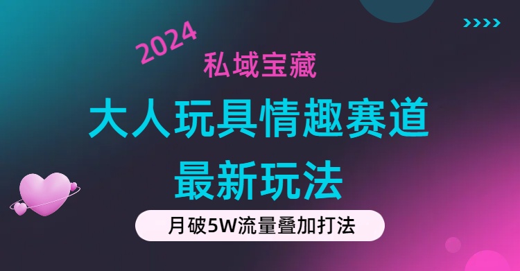 私域宝藏：大人玩具情趣赛道合规新玩法，零投入，私域超高流量成单率高_双星网创_创业赚钱_抖音教程_短视频教程-创业赚钱_抖音教程_短视频教程